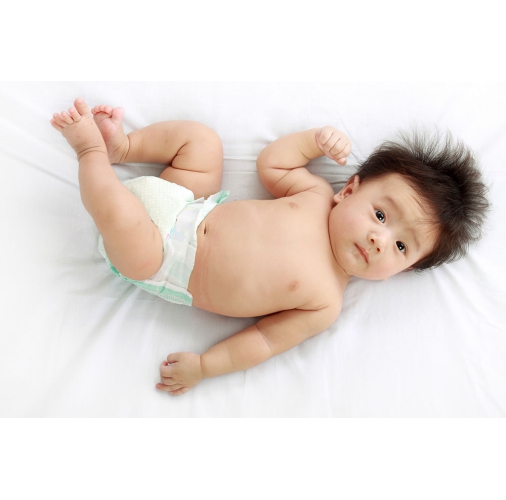 CHĂM BÉ ( BAO ĂN Ở ) LƯƠNG 1O TRIỆU
