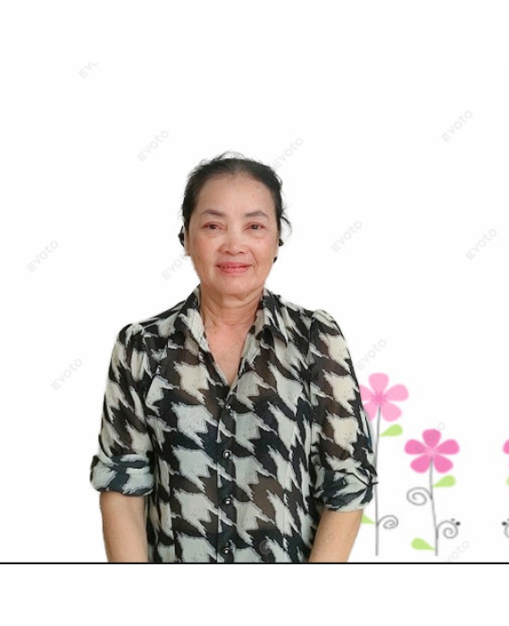 Cô Bình quê miền Nam